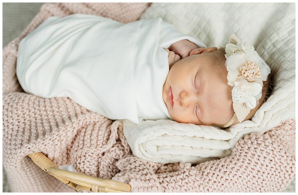 Ann Arbor Newborn Session