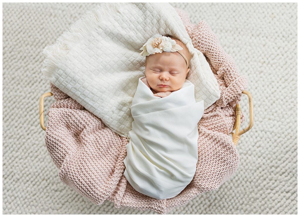 Ann Arbor Newborn Session