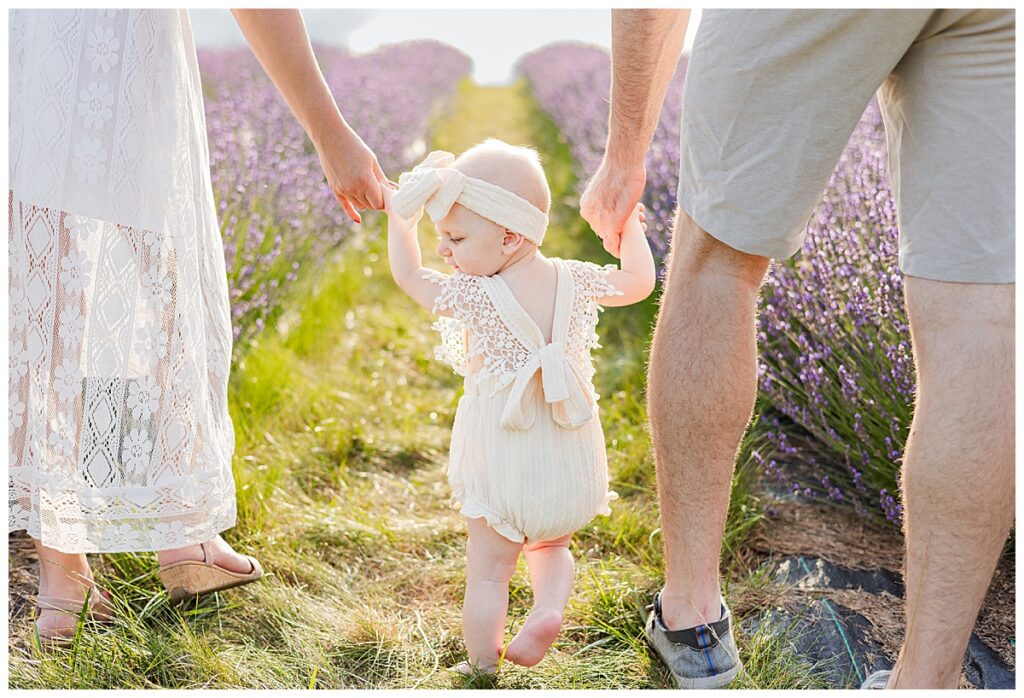 Baby walks through a lavender farm at Belle Lavande