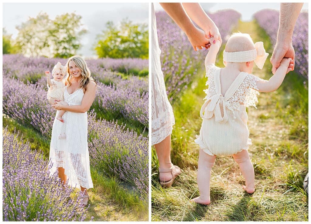 Ann Arbor photographer poses family in Lavender Farm at Belle Lavande.